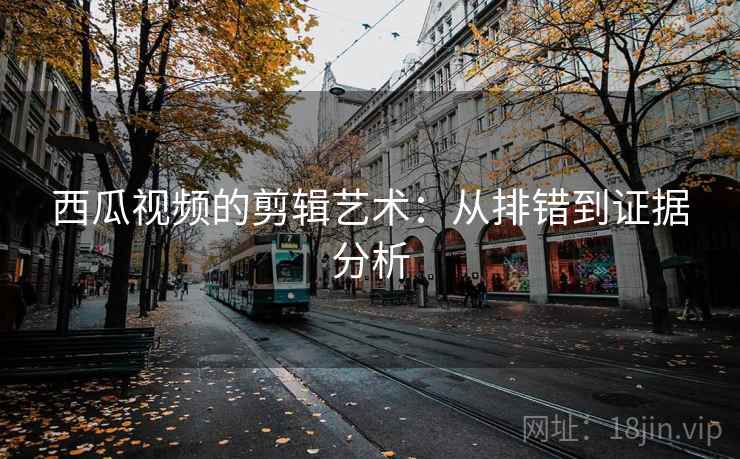 西瓜视频的剪辑艺术：从排错到证据分析