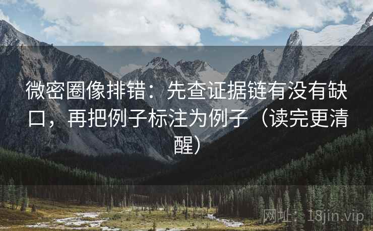 微密圈像排错:先查证据链有没有缺口,再把例子标注为例子(读完更清醒)